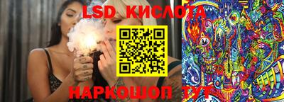 СК Пугачёв