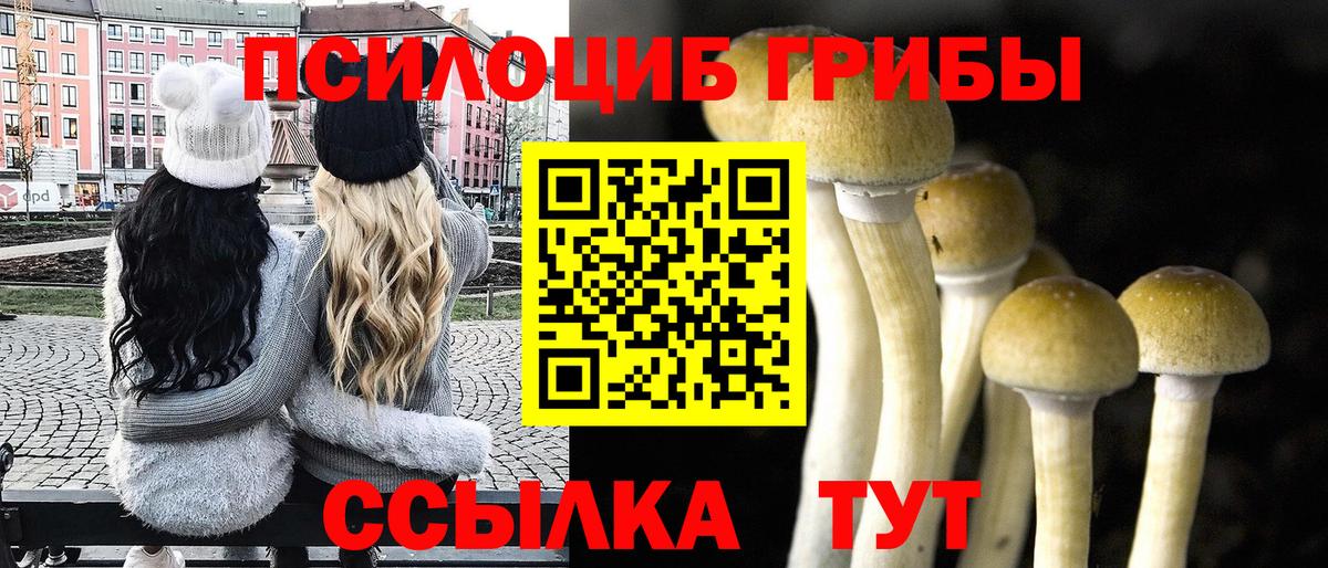 Псилоцибиновые грибы Psilocybine cubensis  Вход с VPN  Псилоцибиновые грибы прущие грибы  цены наркотик  Саратов 